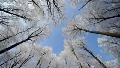 Фото: Караван, фото - Новости Zakon.kz от 11.12.2017 17:43