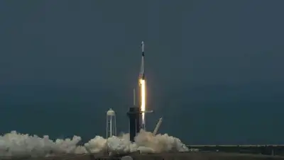 zakon.kz., фото - Новости Zakon.kz от 13.06.2020 15:53