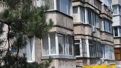 Несколько «мертвых душ» обнаружила алматинка в своей квартире, фото - Новости Zakon.kz от 28.07.2022 19:27