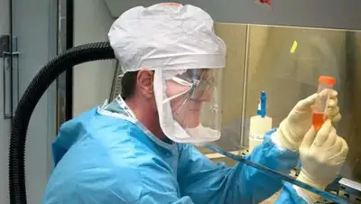 Pixabay, фото - Новости Zakon.kz от 19.03.2020 13:47