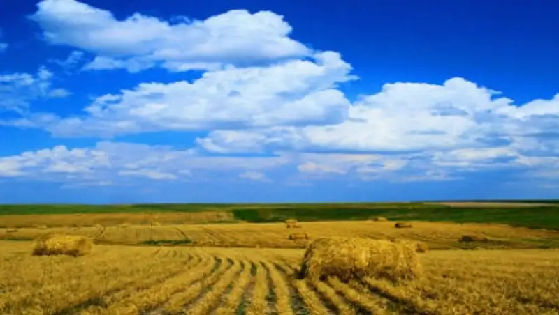 В Казахстане около 97 млн га земель сельхозназначения находятся в долгосрочной аренде