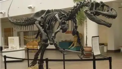 Zakon.kz, фото - Новости Zakon.kz от 12.09.2015 17:17