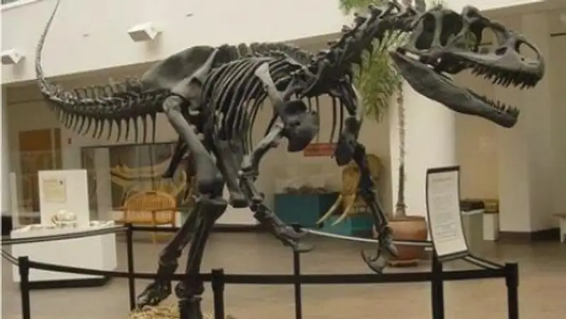 Скелет динозавра выставлен на торги в Великобритании