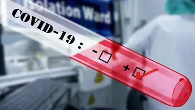 Pixabay, фото - Новости Zakon.kz от 22.08.2020 23:40