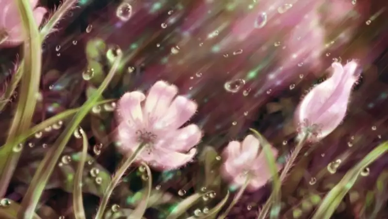 На большей территории РК ожидаются дожди с грозами