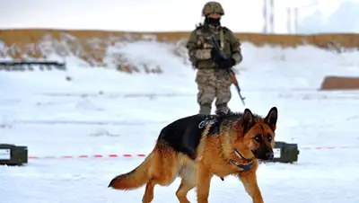 Zakon.kz, фото - Новости Zakon.kz от 03.03.2016 23:05