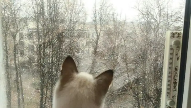 На большей части Казахстана ожидаются осадки