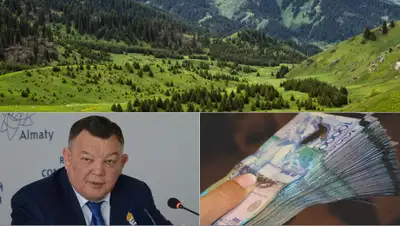 Коллаж Zakon.kz, фото - Новости Zakon.kz от 03.11.2019 09:00