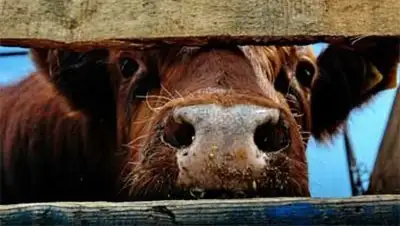 Zakon.kz, фото - Новости Zakon.kz от 27.05.2014 15:49