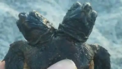 Zakon.kz, фото - Новости Zakon.kz от 19.08.2017 19:15