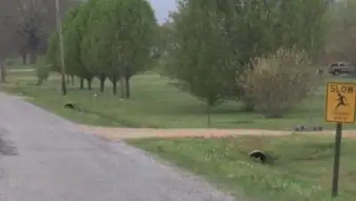 ABC News, фото - Новости Zakon.kz от 20.03.2018 06:30