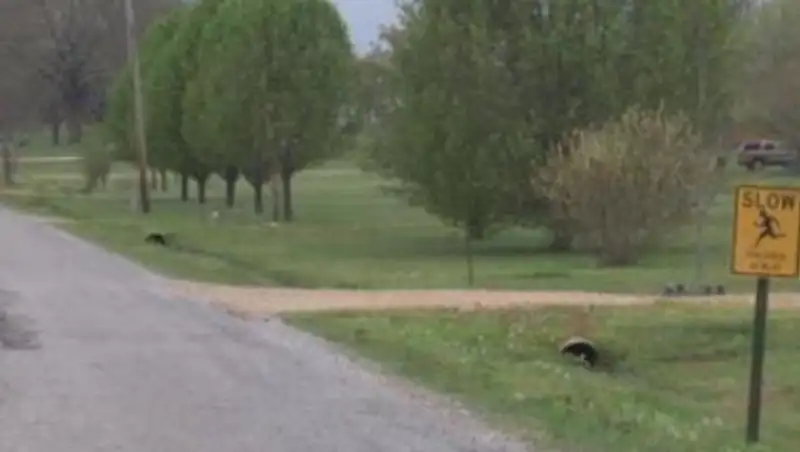 В США 9-летний мальчик застрелил сестру из-за видеоигры