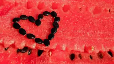 pixabay.com, фото - Новости Zakon.kz от 05.08.2021 09:31