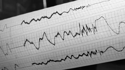 BNews.kz, фото - Новости Zakon.kz от 07.02.2018 08:49