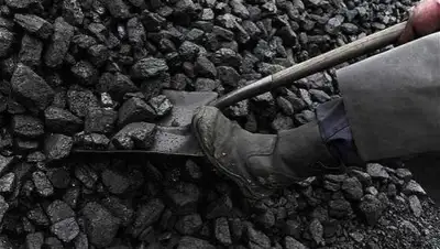 liter.kz, фото - Новости Zakon.kz от 14.08.2018 16:52