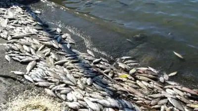 Les meilleures photos du monde, фото - Новости Zakon.kz от 25.02.2019 23:21