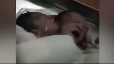 Zakon.kz, фото - Новости Zakon.kz от 02.11.2017 08:21