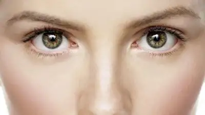 из открытых источников, фото - Новости Zakon.kz от 19.11.2018 16:30