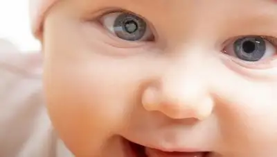 из открытых источников, фото - Новости Zakon.kz от 07.02.2019 15:37