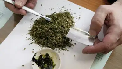 glavny.tv, фото - Новости Zakon.kz от 01.03.2018 06:38