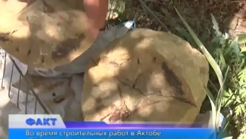 В Актобе возможно обнаружены яйца динозавров