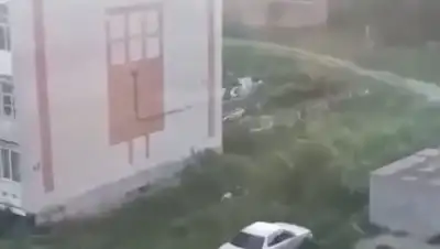 Zakon.kz, фото - Новости Zakon.kz от 06.07.2017 12:32