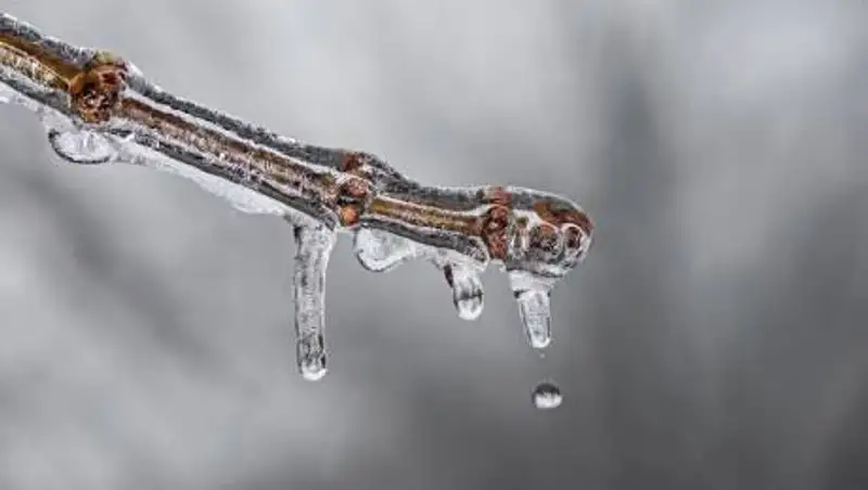 Потепление ожидается в Казахстане