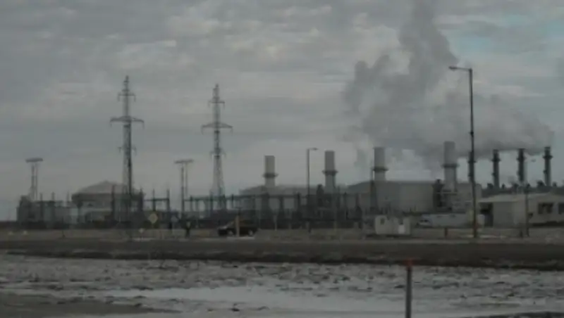 К 20 января будут озвучены результаты обследования отравившихся жителей с. Березовка в ЗКО