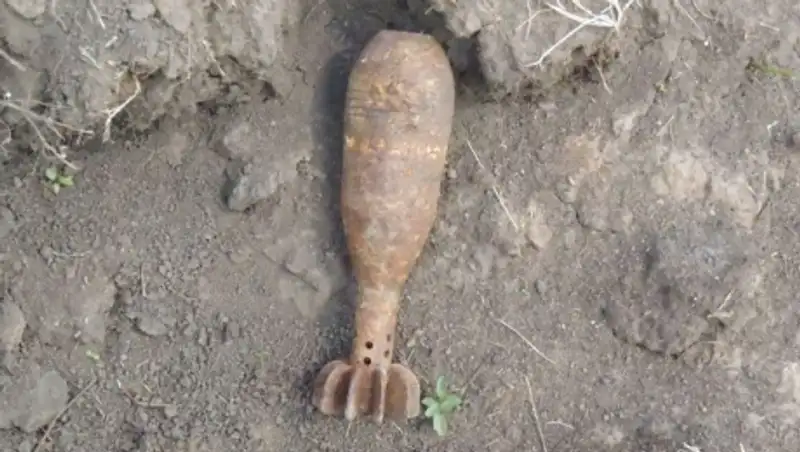 Две авиабомбы обнаружили в лесу у аэропорта Домодедово