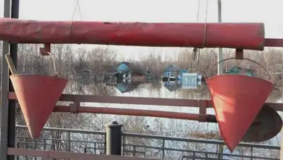 Zakon.kz, фото - Новости Zakon.kz от 21.02.2017 23:41