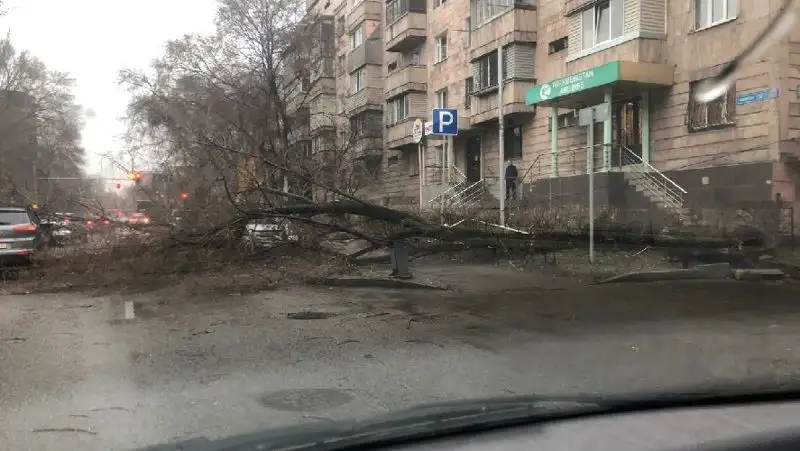 сильный ветер в Алматы, фото - Новости Zakon.kz от 29.03.2022 16:34