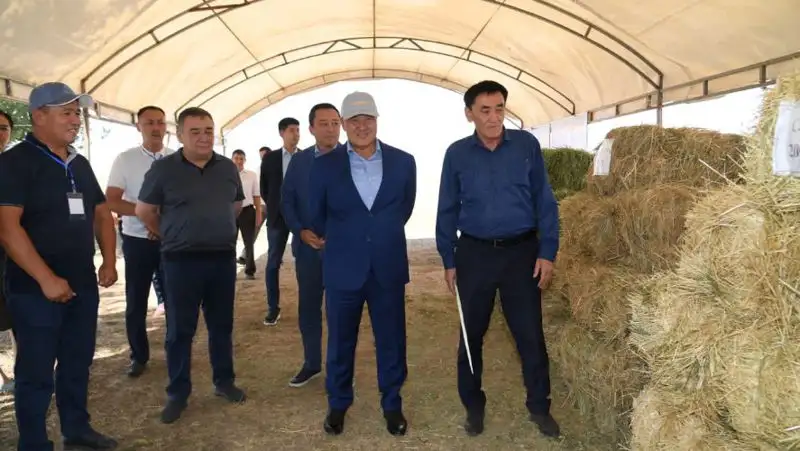 В Туркестанской области завершается уборочная кампания, фото - Новости Zakon.kz от 30.07.2022 18:34