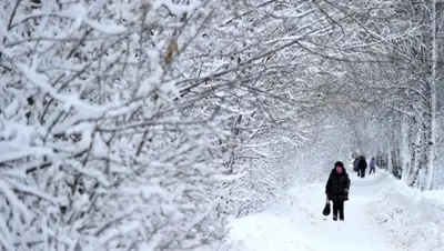Zakon.kz, фото - Новости Zakon.kz от 19.12.2015 01:42