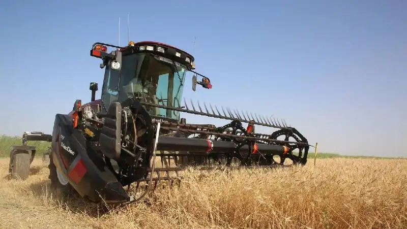 В Кызылординской области стабильно развивается сельхозотрасль