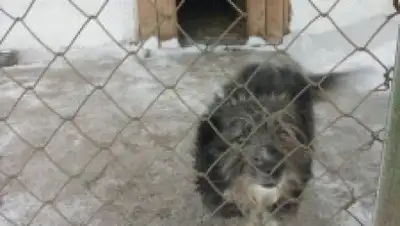 Zakon.kz, фото - Новости Zakon.kz от 07.01.2015 22:25