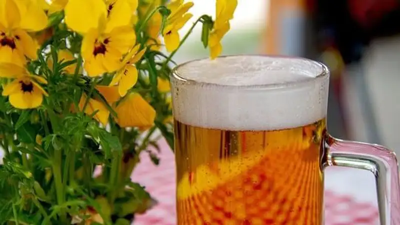 Влияние ежедневной кружки пива на организм оценили ученые