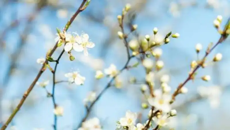 В Казахстане ожидается потепление