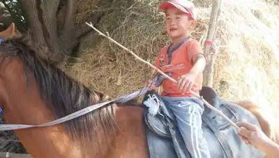 ДП Жамбылской области, фото - Новости Zakon.kz от 16.09.2020 15:09