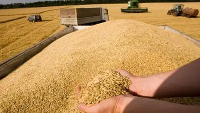 Zakon.kz, фото - Новости Zakon.kz от 01.09.2017 09:17