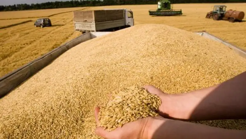 Объявлены закупочные цены на казахстанское зерно