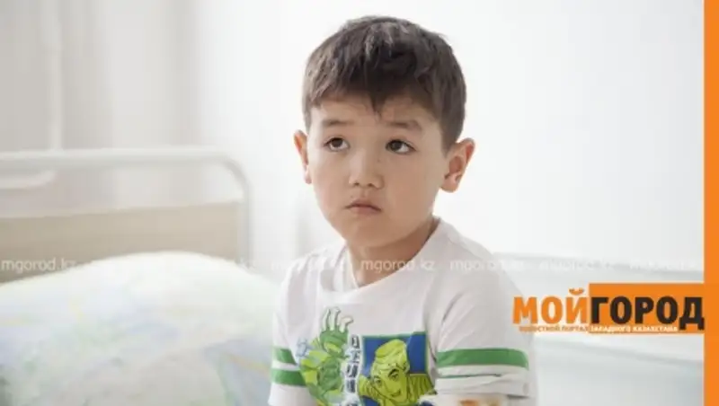 Еще одного ребенка в Уральске покусала собака