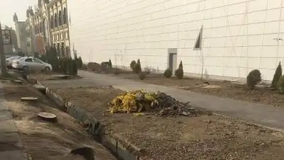 optimism.kz, фото - Новости Zakon.kz от 25.11.2020 18:53