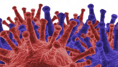 Daily Storm, фото - Новости Zakon.kz от 05.04.2020 10:16