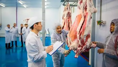 Zakon.kz, фото - Новости Zakon.kz от 15.11.2017 19:39