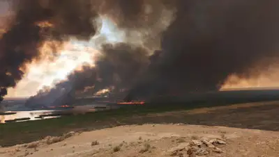 nuz.uz, фото - Новости Zakon.kz от 06.07.2019 06:52