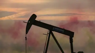 Zakon.kz, фото - Новости Zakon.kz от 14.02.2016 02:34