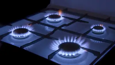 utv.ru, фото - Новости Zakon.kz от 20.11.2019 13:36