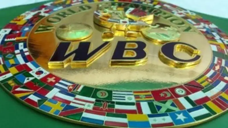Флаг Казахстана появится на поясе WBC