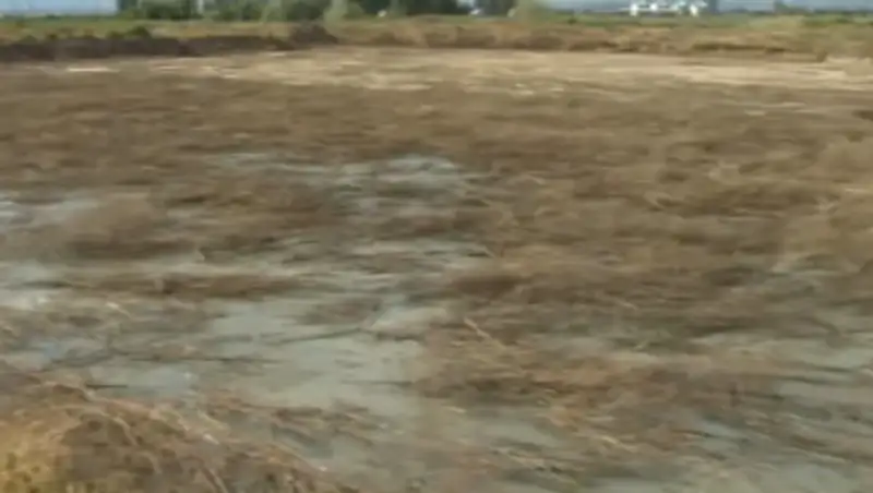 Жители Жаркента несколько лет жалуются на вонь от завода