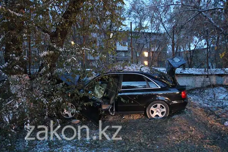 Девушка за рулем Ауди не справилась с управлением и врезалась в дерево, Алматы (фото) Девушка за рулем Ауди не справилась с управлением и врезалась в дерево, Алматы (фото), фото - Новости Zakon.kz от 11.11.2013 19:53